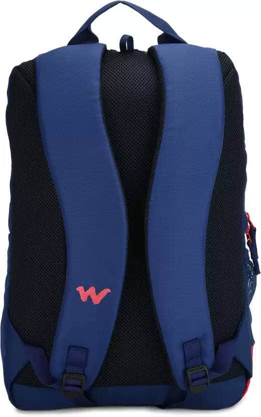 Streak 1.0 Laptop Backpack WC-12154