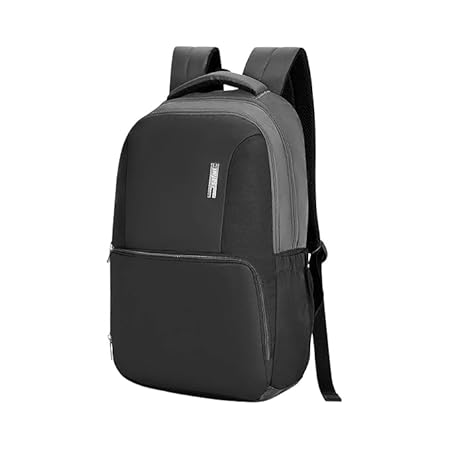 Medium 30 L Laptop Backpack Ace 3  (Grey)