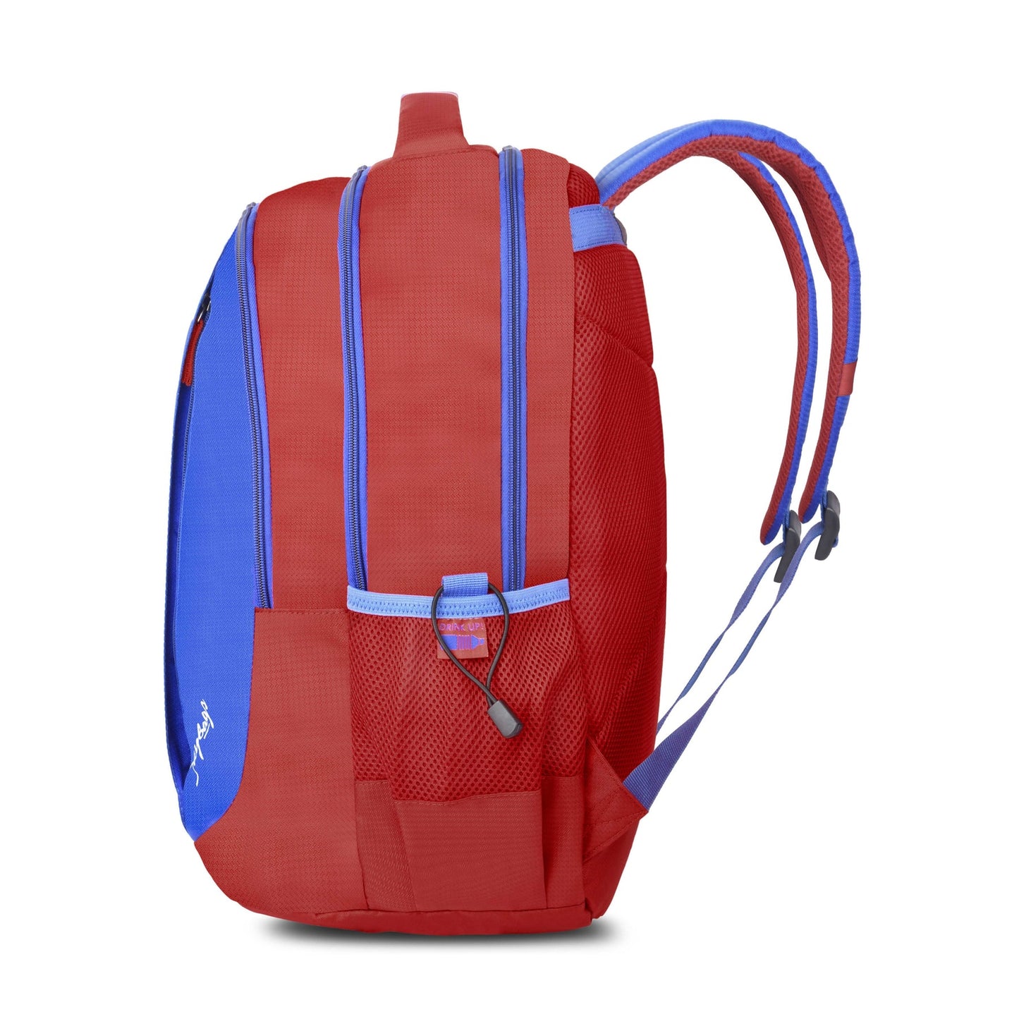 Skybags Squad Plus 08 38L Backpack
