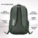 Medium 30 L Laptop Backpack Ace 2 (olive)