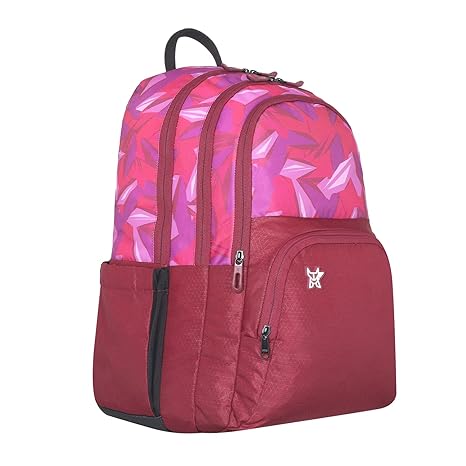 Arctic Fox Prism School Backpack for Boys and Girls