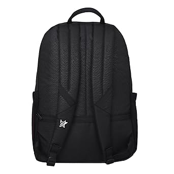 Arctic Fox Lingo 15.6 inch Laptop Backpack for Men and Women- 30 Liters