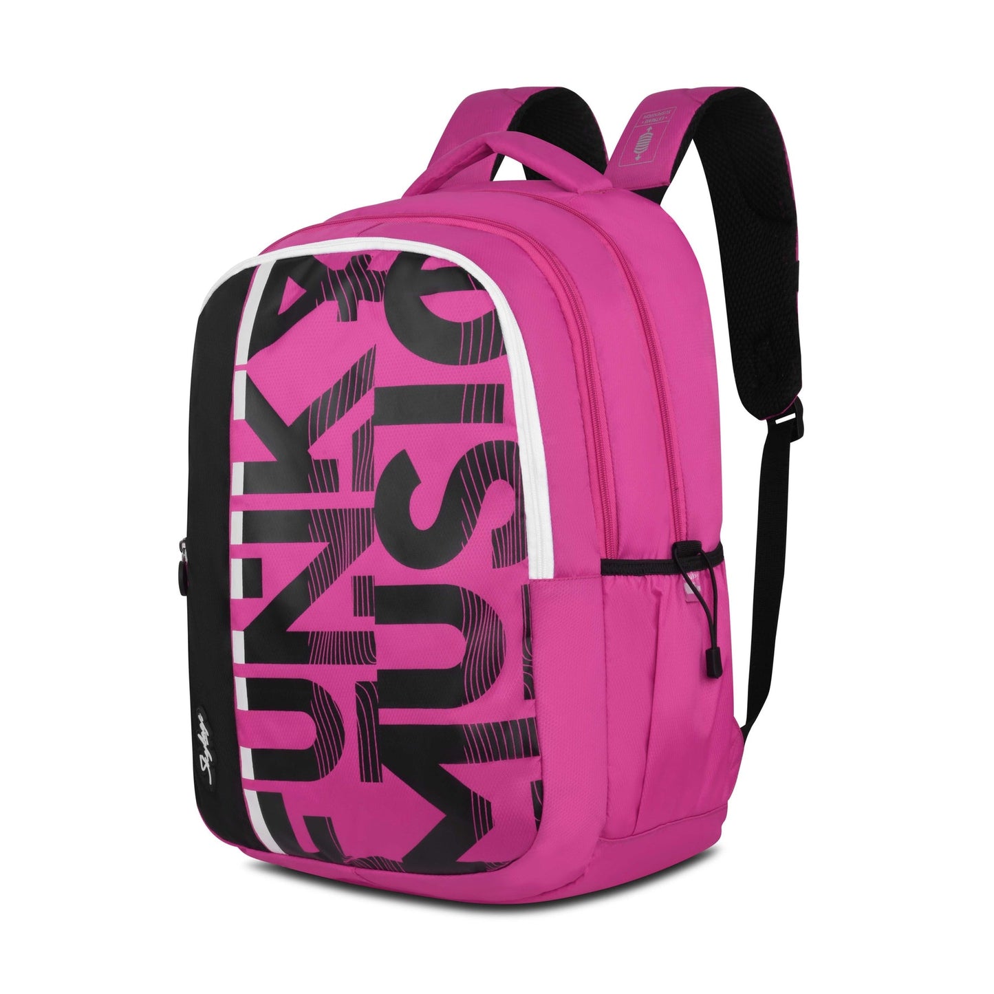 Skybags Stan Pro 02 47L Backpack