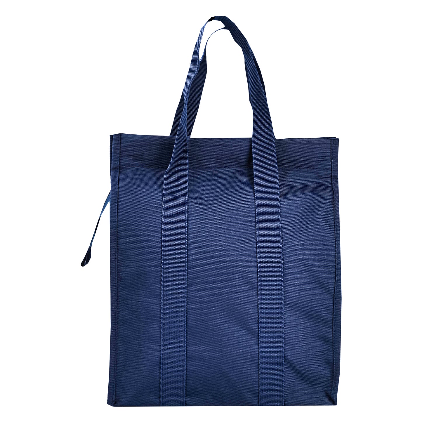 थैली नंबर 5 टिफिन बैग 15in x 11in x 6in TB-404 - रेलवे रनिंग स्टाफ - बड़ा 