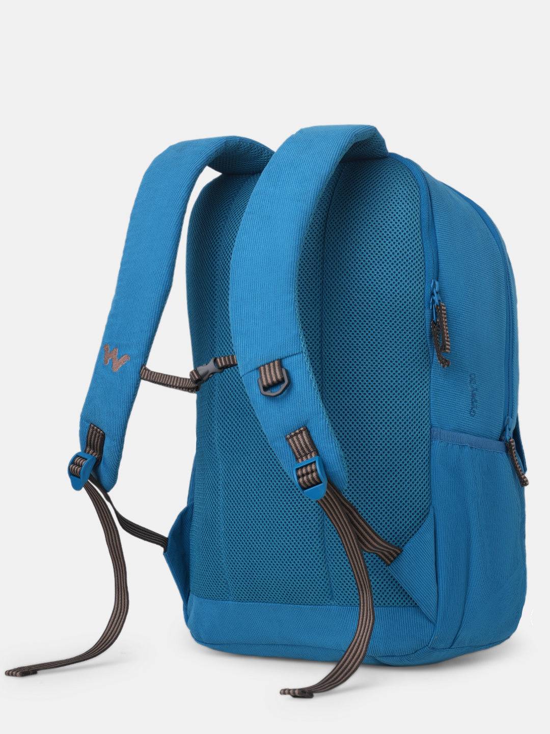 Wildcraft Gypsy 20 L Laptop Backpack With RainCover for Men & Women