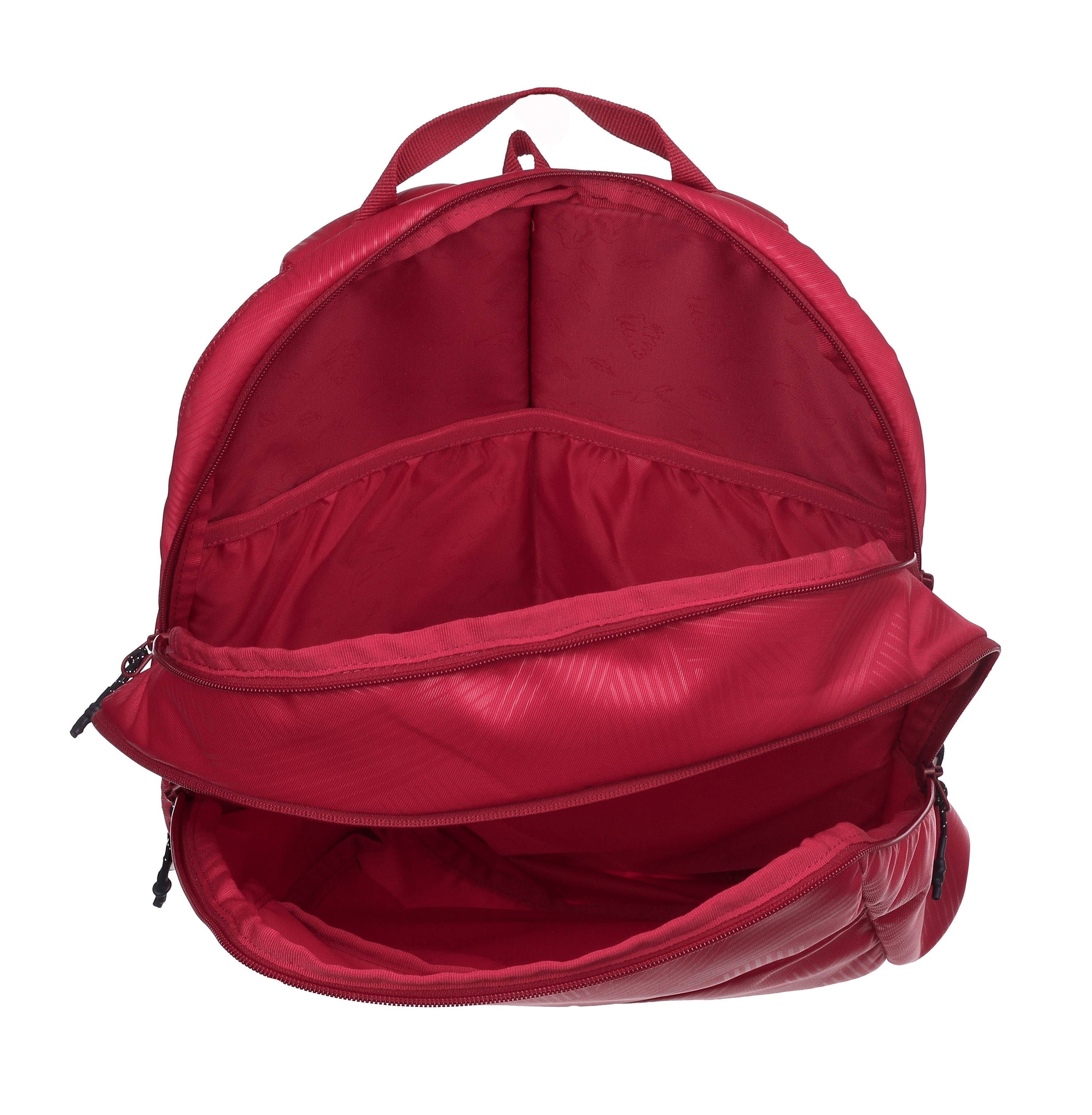 Wildcraft Wiki  Streek 1.0  Backpack 27 L College | School | Office &Travel Bag For Men & Women