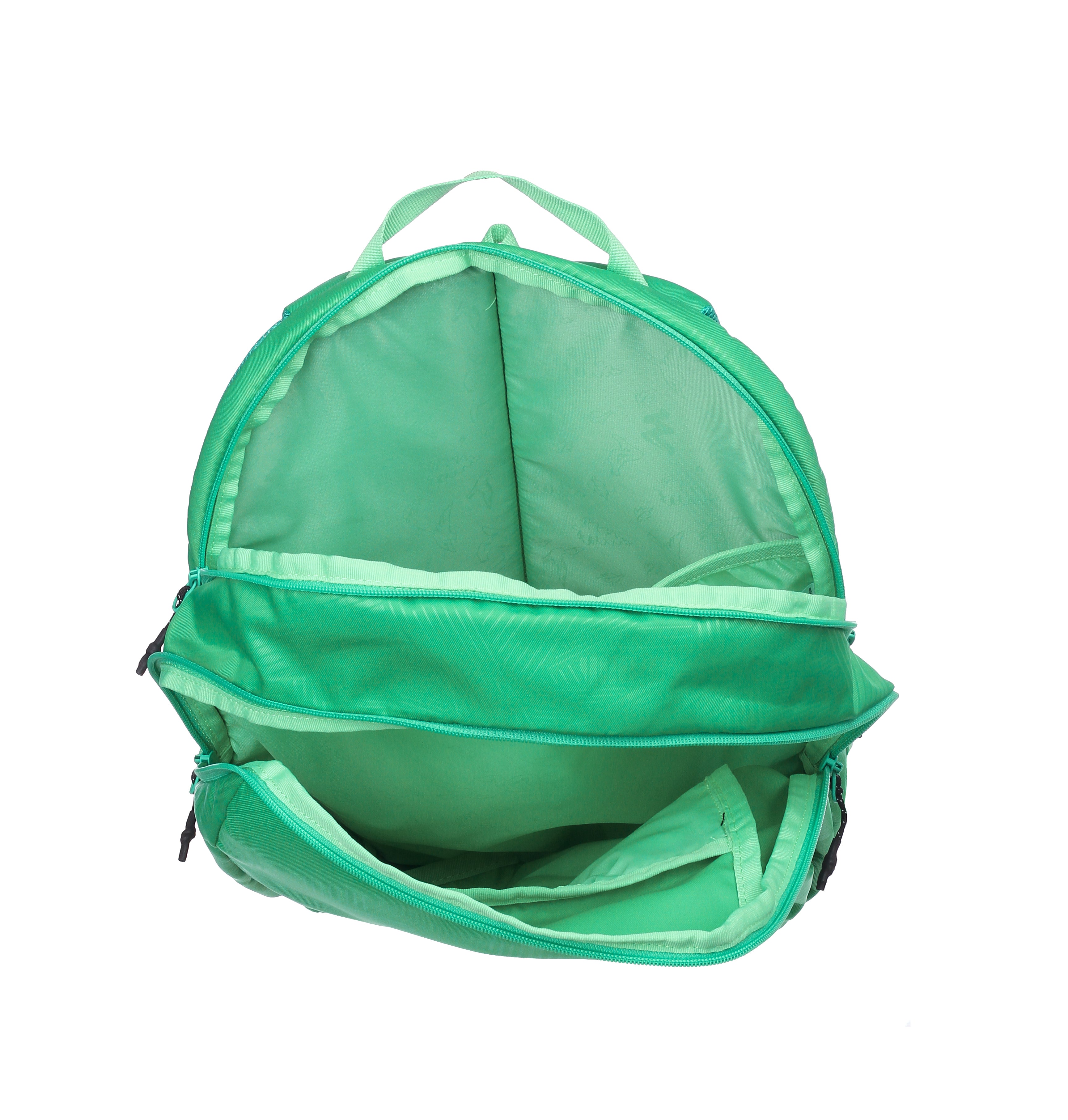 Wildcraft Wiki  Streek 1.0  Backpack 27 L College | School | Office &Travel Bag For Men & Women