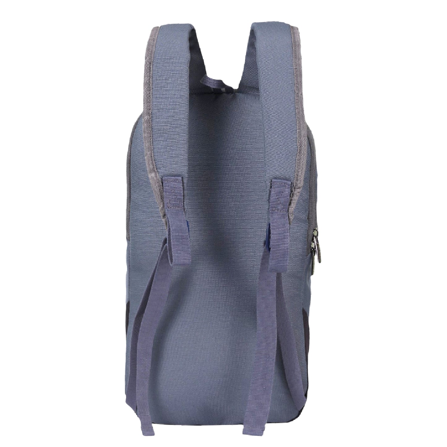 Dhariwal Daypack BP-244