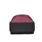 Arctic Fox Vamp  15.5 Inch Laptop Backpack-35 Ltr