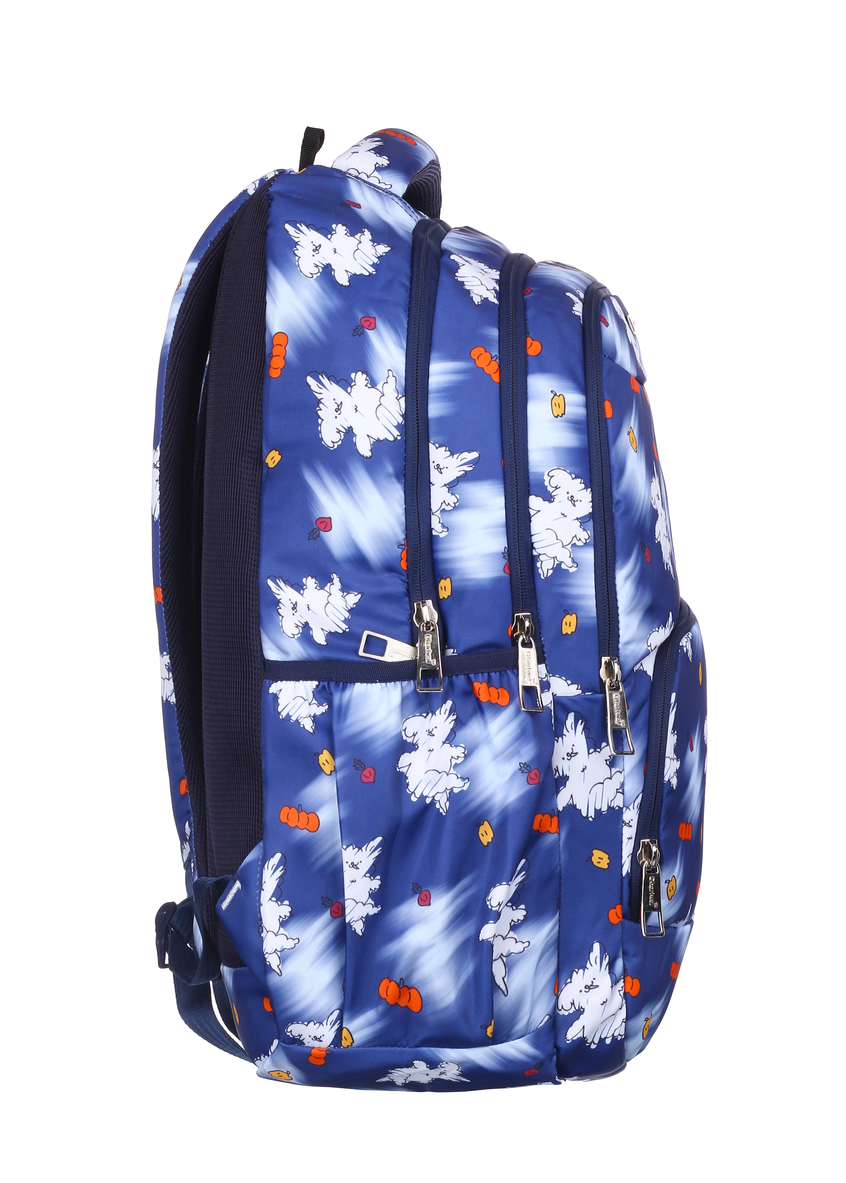 Dhariwal bags Casual/School/College/Office Bag BP-252 36 L Backpack