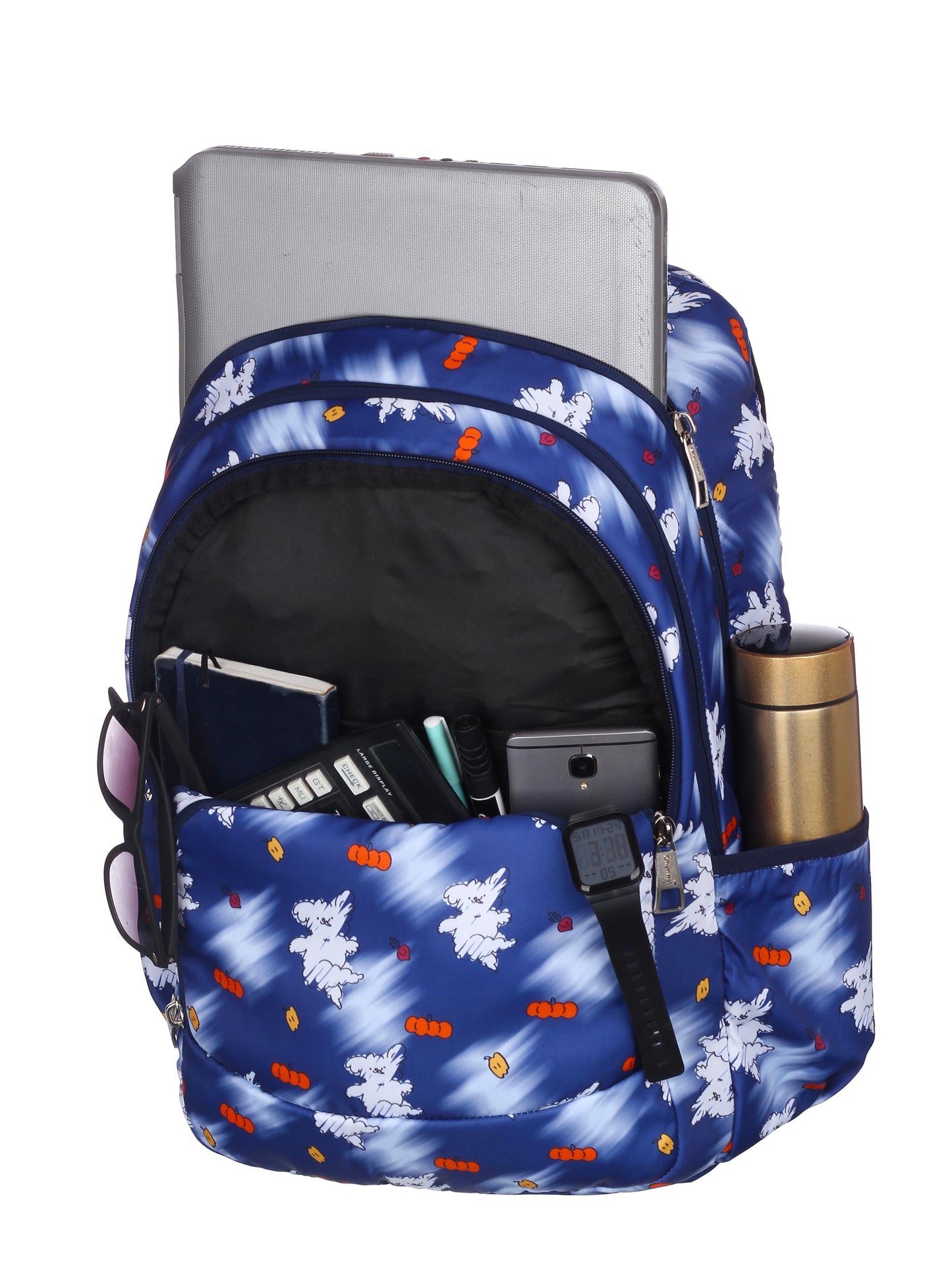 Dhariwal bags Casual/School/College/Office Bag BP-252 36 L Backpack