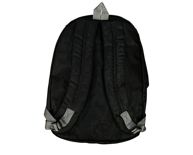 Dhariwal 34L BP-206  Unisex Backpack | Strong & Lightweight | Water-Resistant