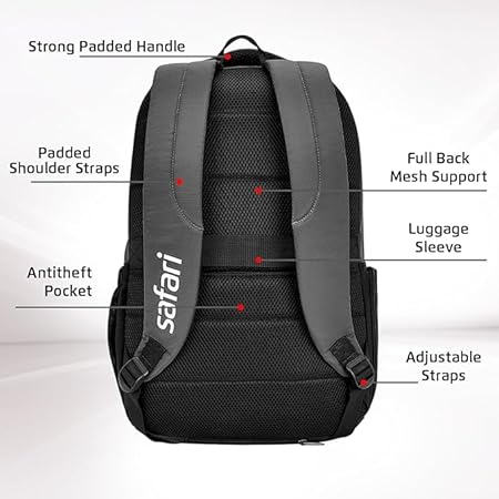 Medium 30 L Laptop Backpack Ace 3  (Grey)