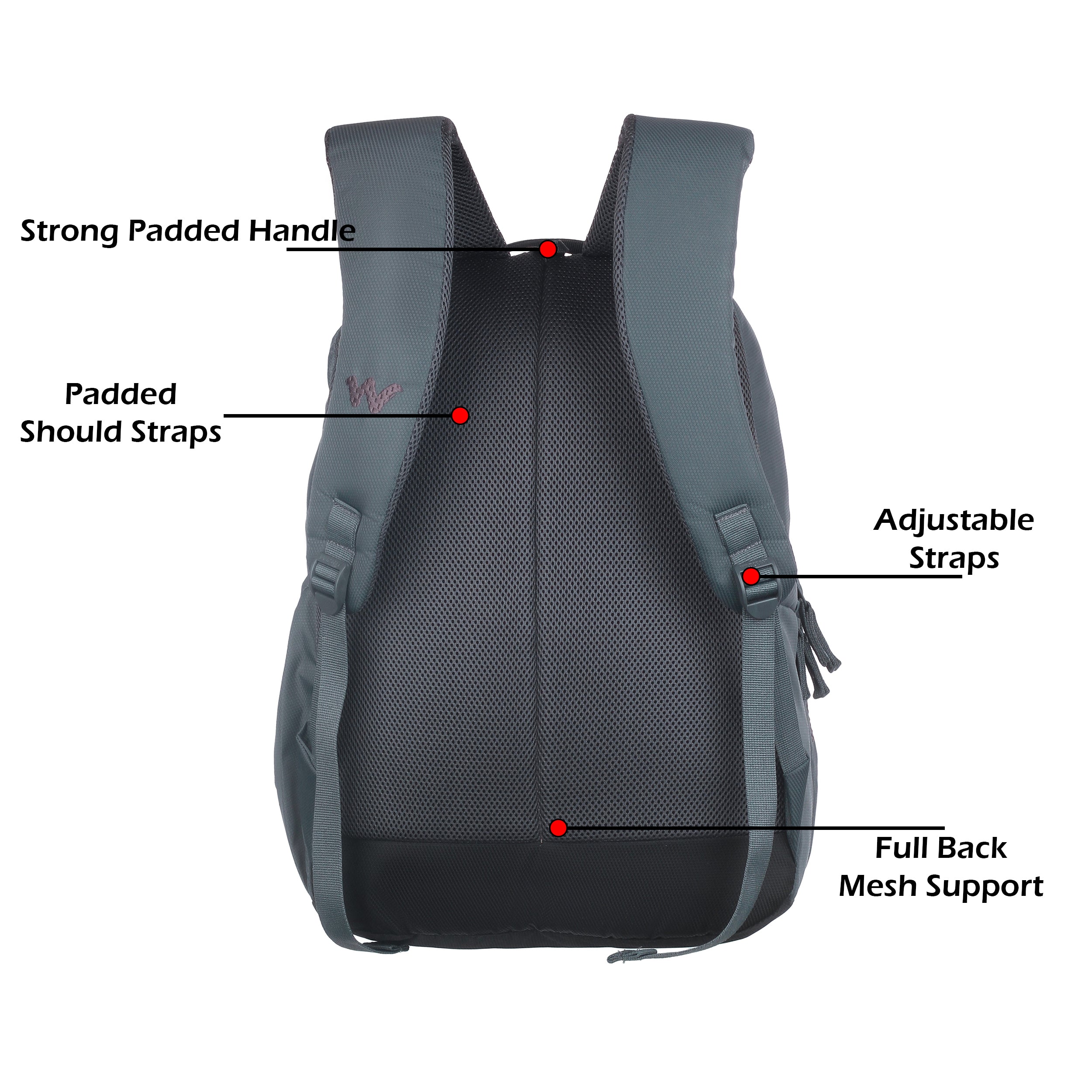 Wildcraft Atlas 35 Nylon backpack Ideal for school, college, office & travel bag for men And women
