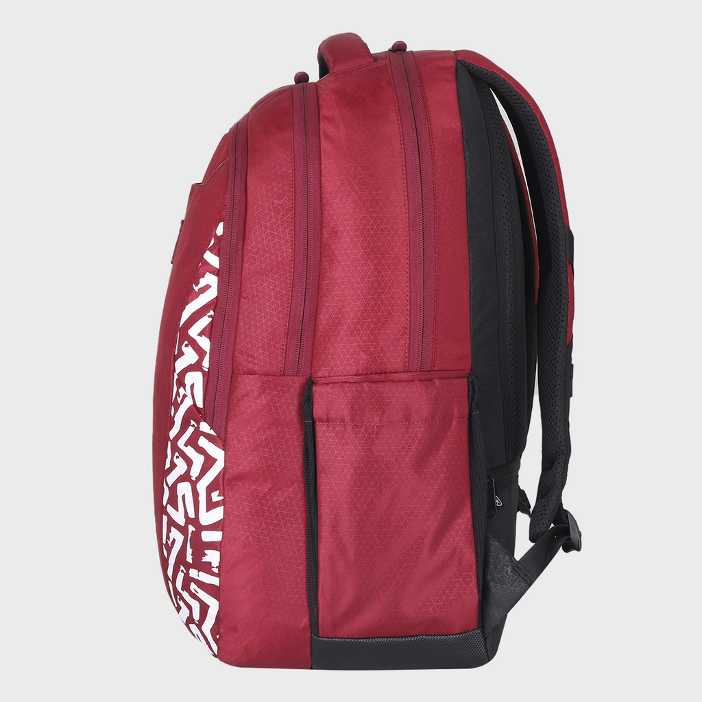 Arctic Fox Frame 38L Laptop Backpack