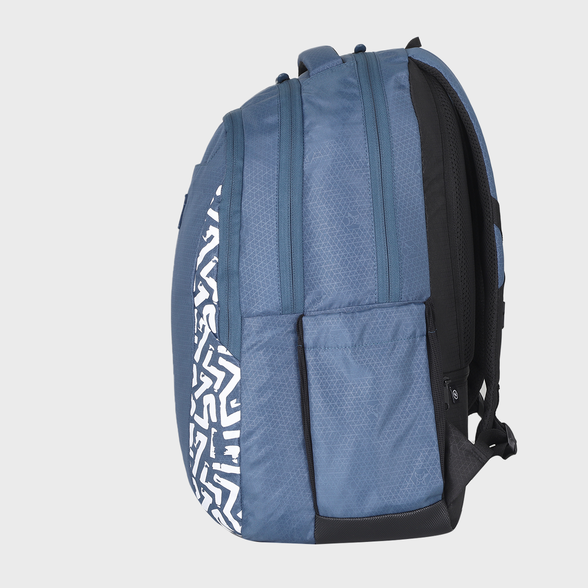 Arctic Fox Frame 38L Laptop Backpack