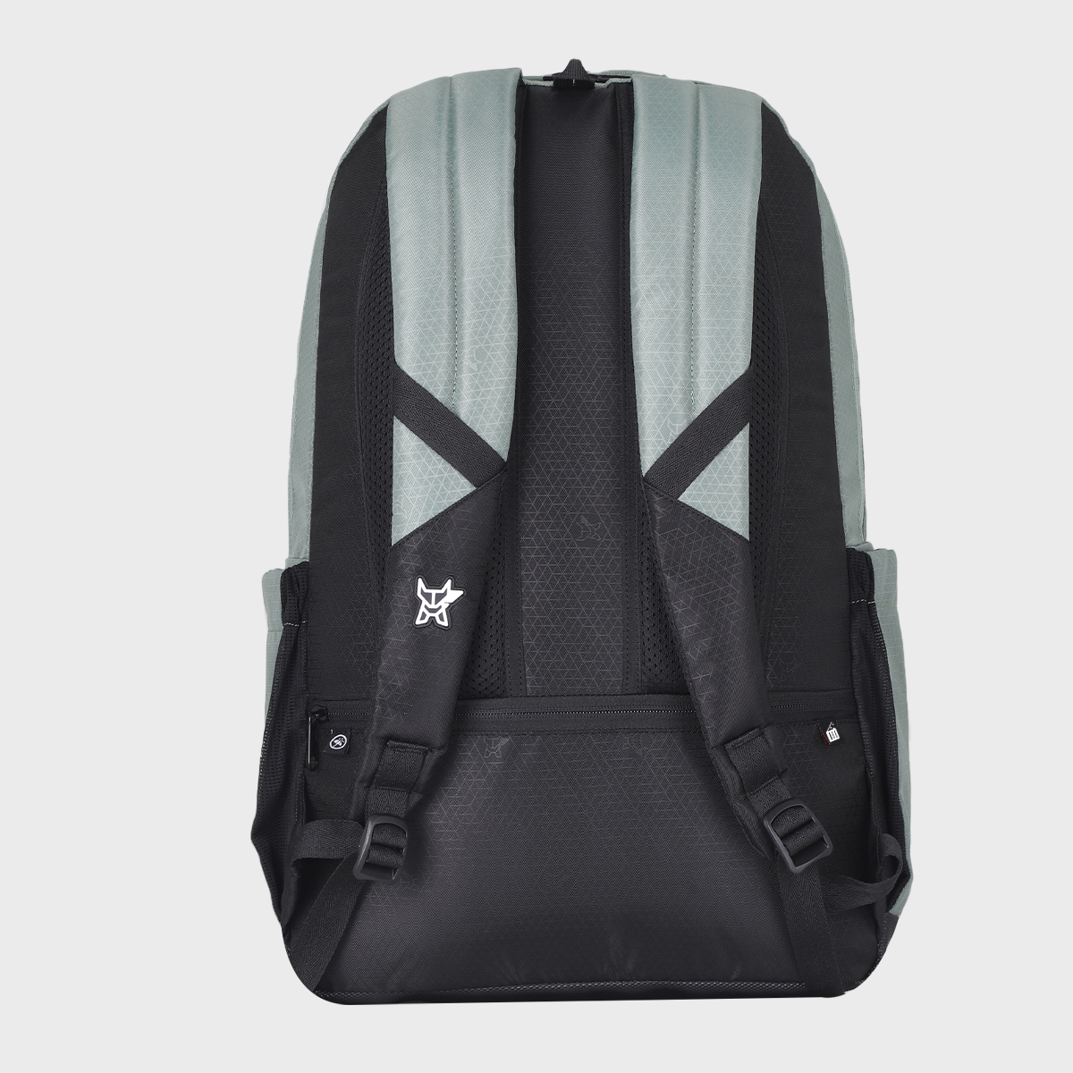 Arctic Fox Frame 38L Laptop Backpack