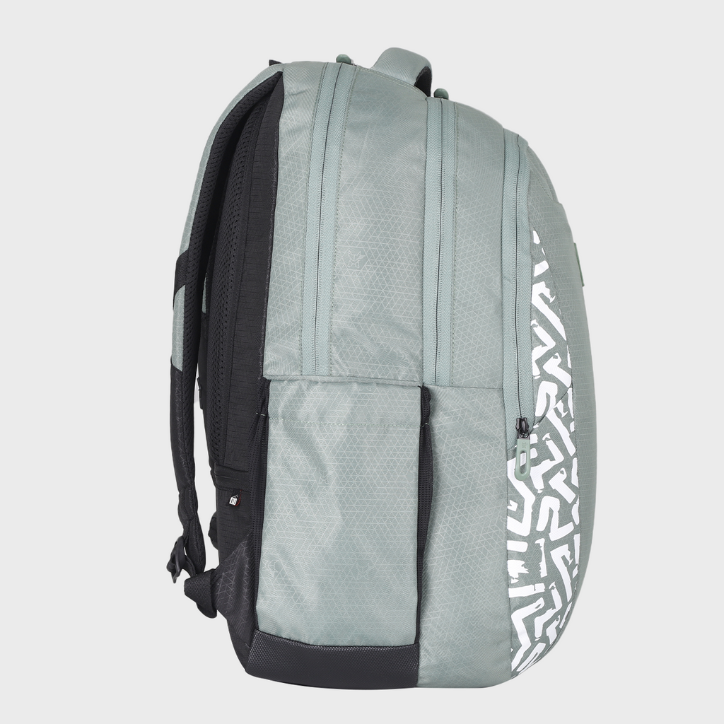 Arctic Fox Frame 38L Laptop Backpack