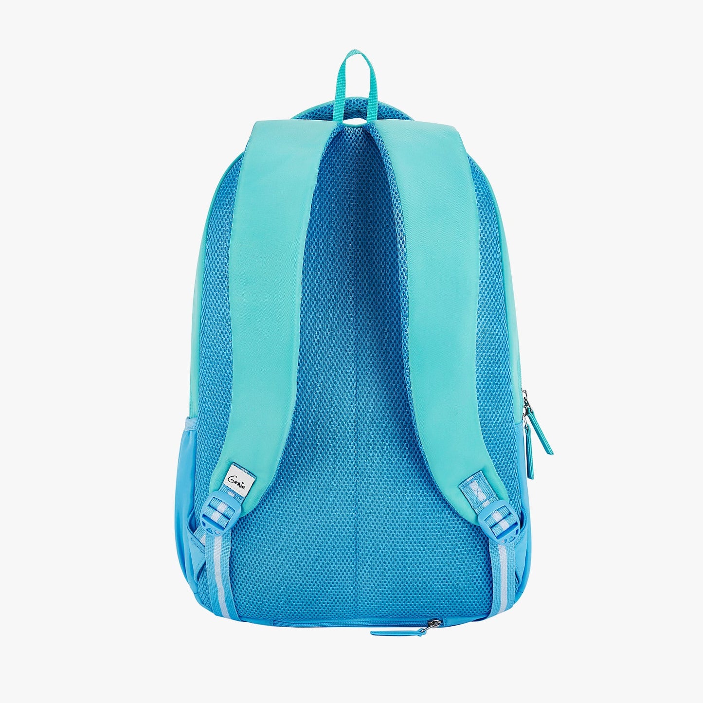 Elsie 36L Laptop Backpack With Raincover