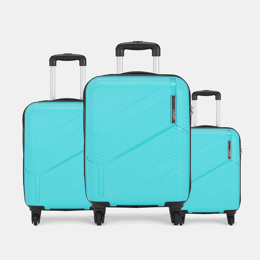 Safari Carter Hard Luggage Combo Set
