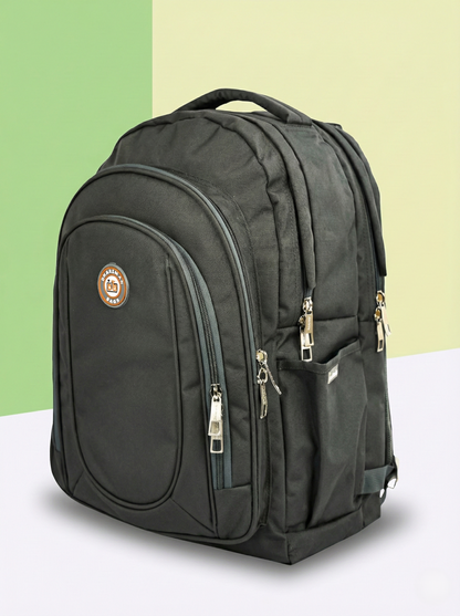 Dhariwal 38L BP -201  Unisex Backpack | Strong & Lightweight | Heavy Zipper Backpack