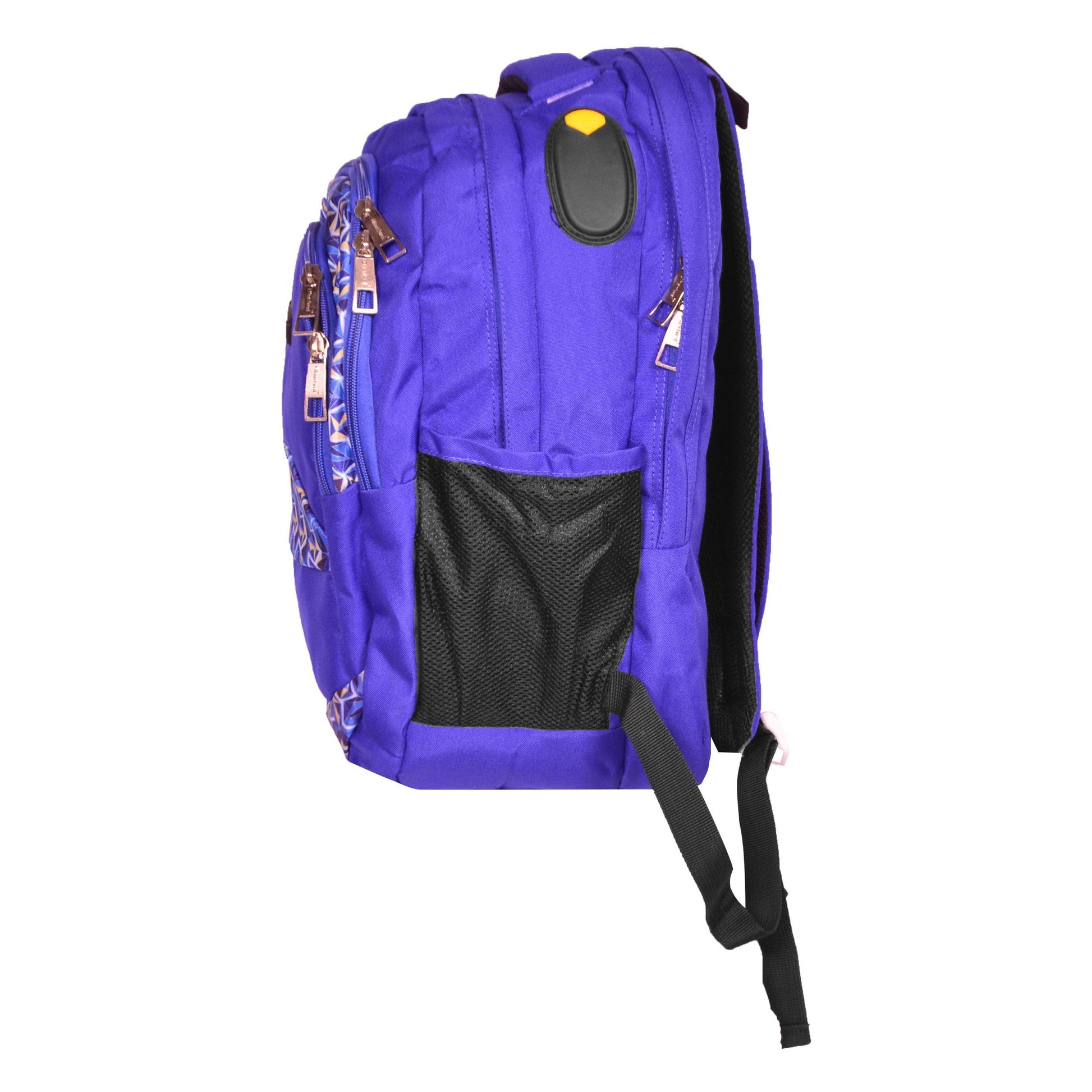 Dhariwal Multi Color Dual Compartment Unisex Printed School BackPack 39L BP-203 School Bags Dhariwal 