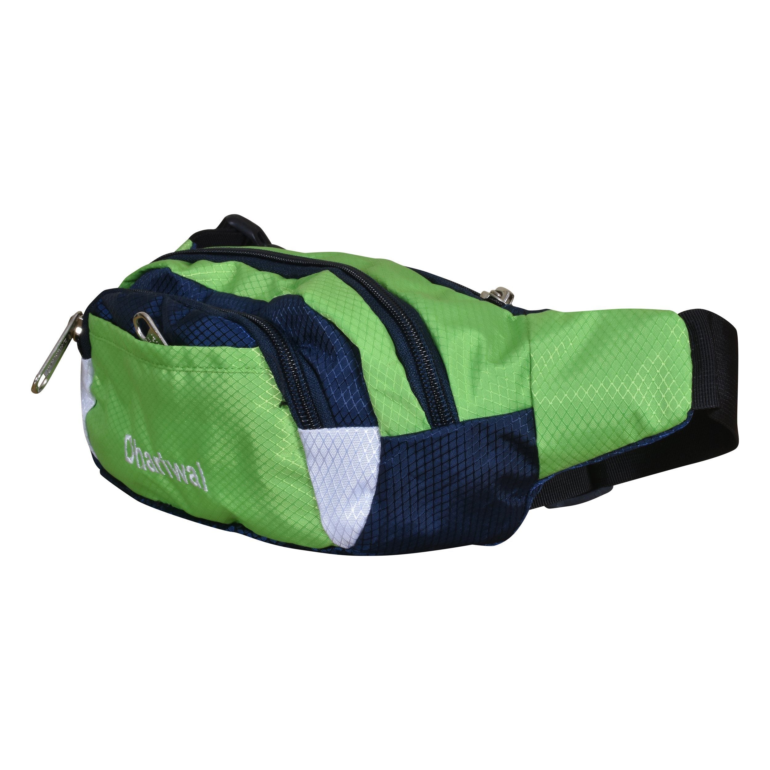 Dhariwal Waist Pack Travel Handy Hiking Zip Pouch Document Money Phone Belt Sport Bag Bum Bag for Men and Women Polyester WP-1201 Waist Pouch Dhariwal 