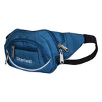Dhariwal Waist Pack Travel Handy Hiking Zip Pouch Document Money Phone Belt Sport Bag Bum Bag for Men and Women Polyester WP-1202 Waist Pouch Dhariwal 